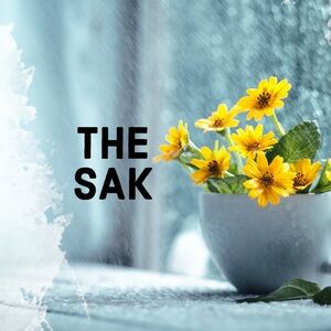 ALL REASONABLE OFFERS WELCOME!